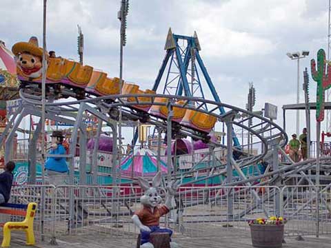 Disney park small roller coaster ride for amusement