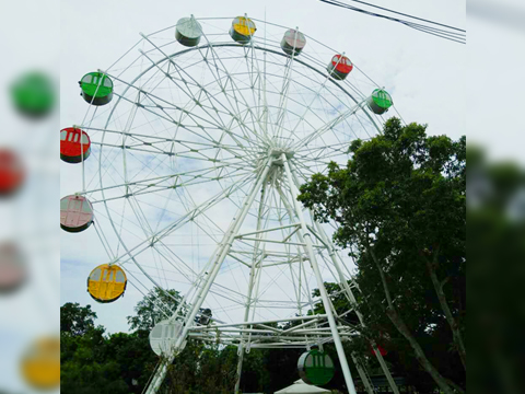 Ferris wheel Ride